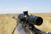  - photo 24 