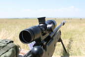  - photo 26 