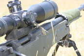  - photo 45 