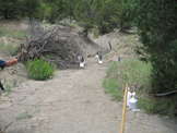 Colorado MultiGun's 2006 Practical Rifle Team Challenge
 - photo 73 
