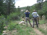 Colorado MultiGun's 2006 Practical Rifle Team Challenge
 - photo 79 
