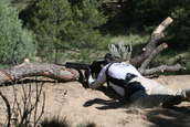 2009 JP Rocky Mountain 3-Gun Match
 - photo 275 
