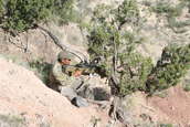 2010 Steel Safari Rifle Match
 - photo 99 