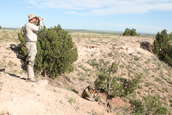 2010 Steel Safari Rifle Match
 - photo 101 