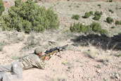 2010 Steel Safari Rifle Match
 - photo 215 