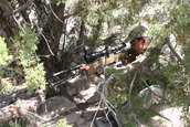 2010 Steel Safari Rifle Match
 - photo 343 