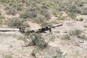 2010 Steel Safari Rifle Match
 - photo 345 
