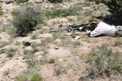 2010 Steel Safari Rifle Match
 - photo 451 