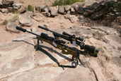 2011 Steel Safari Rifle Match
 - photo 373 