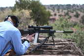 2011 Steel Safari Rifle Match
 - photo 426 