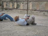 Tactical Response Fighting Pistol, Pueblo CO, Oct 2006

 - photo 114 