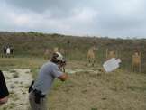 2005 Cavalry Arms 3Gun Match, WACO TX
 - photo 393 