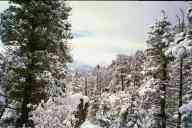 (9-24-2000) Over the Estes Park Valley #1