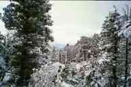 (9-24-2000) Over the Estes Park Valley, #2