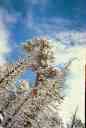(9-24-2000) Which way is up?