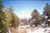 (9-24-2000) A good distance shot near the trailhead