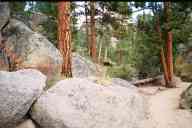 (Gem Lake, 9-17-2000) Two small elk