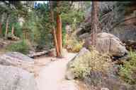 (Gem Lake, 9-17-2000) Two small elk, #2