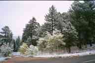 (First Snow, 9-23-2000) Car Snow Shot #6