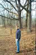 (Pike Lake, Thanksgiving 2001) Abe & Trees