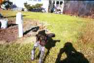 (The Farm, Thanksgiving 2001) Ahh!  Dax attack!