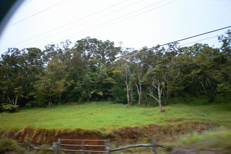 no images. <sob>.