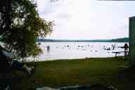 (Madison, July 2002) Swimming