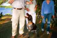 (Minocqua, July 2002) Steve, Annette, Sasha, and Dax