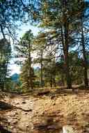 (Hiking Chautauqua in Boulder, CO, Fall 2002) Trail?