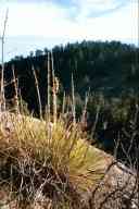 (Hiking Chautauqua in Boulder, CO, Fall 2002) 