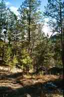 (Hiking Colorado, January 2003) 