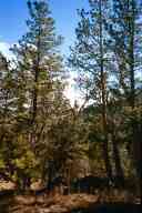 (Hiking Colorado, January 2003) 
