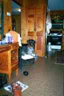 (The Farm, Thanksgiving 2002) Dax