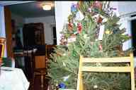 (Chez Garofalo (New London, CT), Xmas 2002) Xmas tree