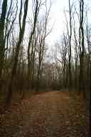 (Hiking Scuppernong, Thanksgiving 2002) 