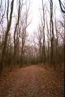 (Hiking Scuppernong, Thanksgiving 2002) 