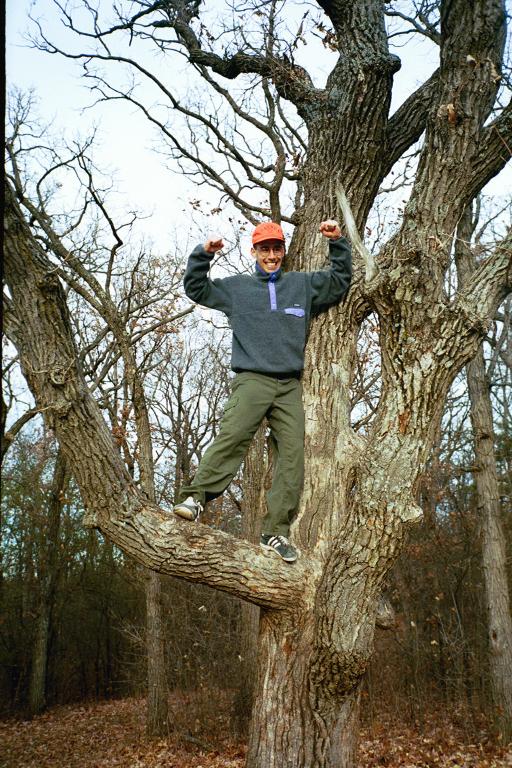 no images. <sob>.