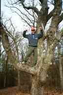 (Hiking Scuppernong, Thanksgiving 2002) Zak in tree