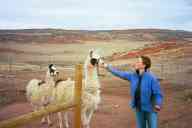 (watching Chez Maly, Spring 2003) llamas and Sasha