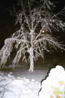 (March 2003 SNOWSTORM!) Benthaven front yard