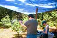 (Shooting at Farm, July 2003) Max shoots SP101