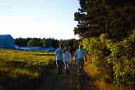 (Farm, July 2003) Every going on a walk