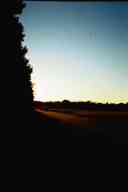 (Farm, July 2003) Treeline profile