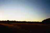 (Farm, July 2003) Treeline profile