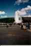 (Yellowstone 1996) Old Faithful 2