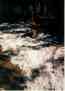 (Yellowstone 1996) Zak Sledding