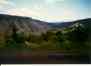 (Yellowstone 1996) yellowstone 3