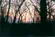 (Fall 1997 / Lake) Unknown Sunset