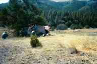 (2003 Rocky Mountain 3Gun Match) Randy Wills run during Team Shoot