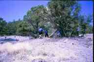 (2003 Rocky Mountain 3Gun Match) Team Shoot